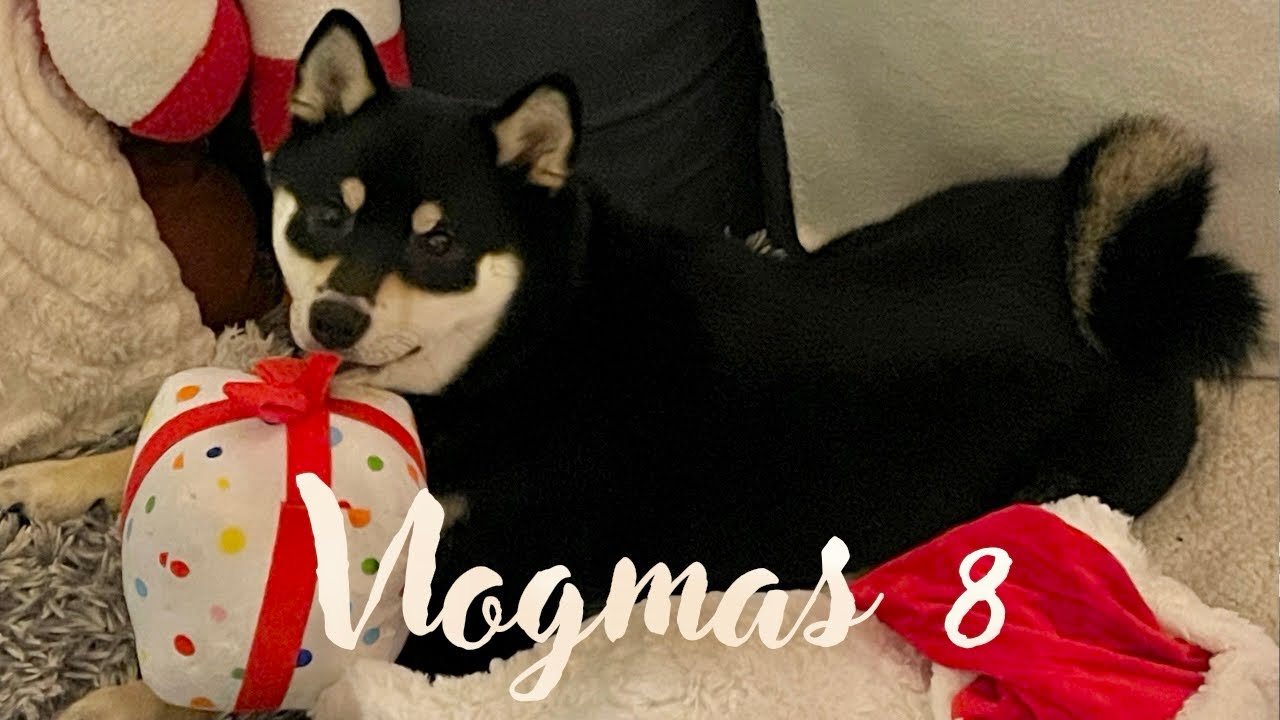 VLOGMAS 8 — BIG HAUL DE NOËL + ON FÊTE LES 1 AN DE KAÏTO 🥹❤️✨