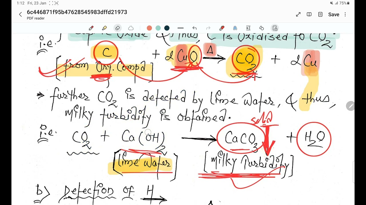 Qualitative Analysis || Liebig's Test & Lassaigne's Test || JEE PYQs || P. O. C || 11th. JEE & NEET.