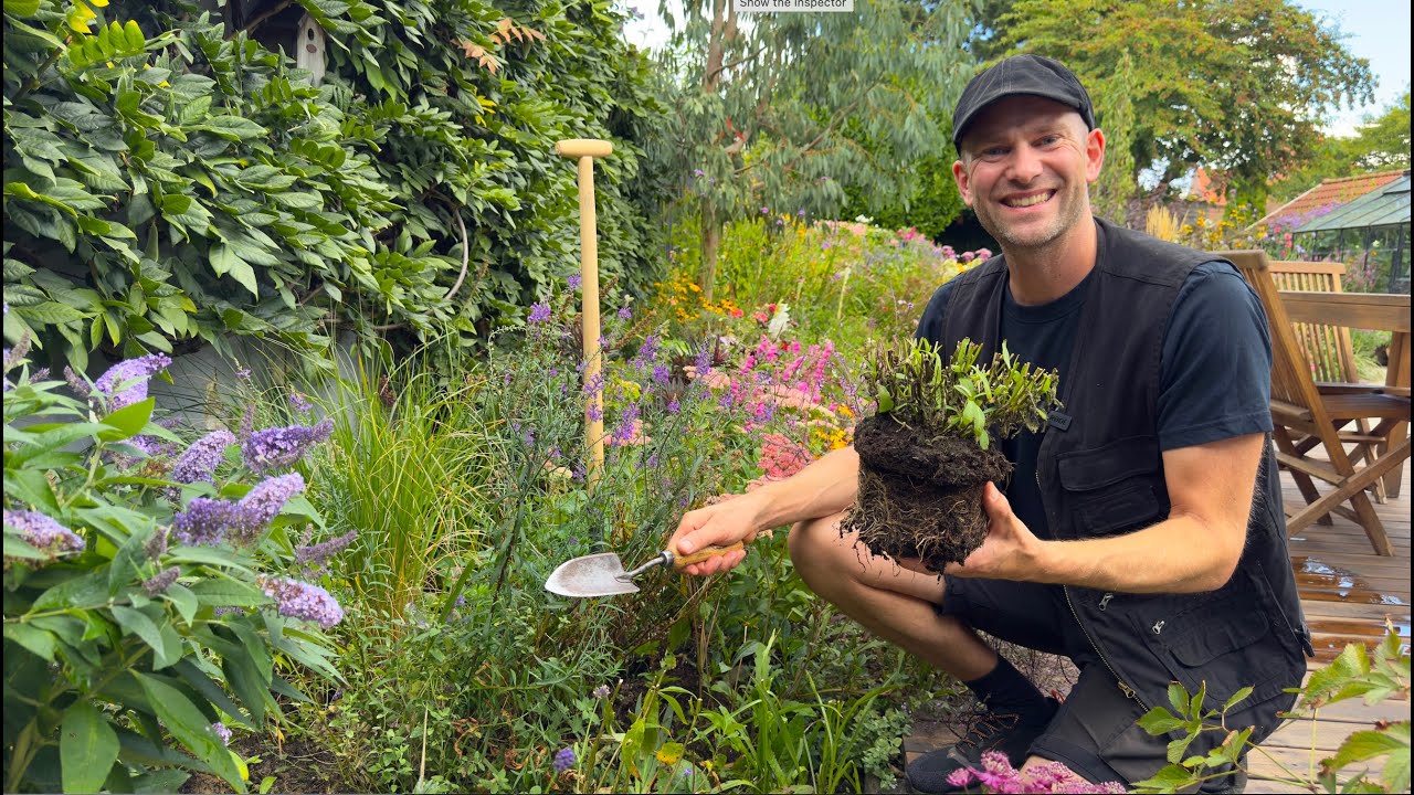 Fall Garden Refresh | Planting Perennials for Autumn Color | Perennial Garden