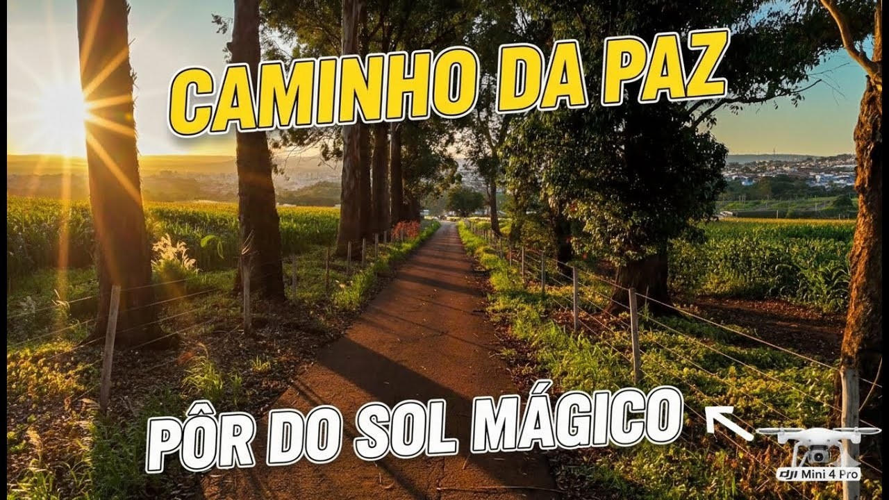 A Magia do Pôr do Sol em Patos de Minas Luz, Natureza e Paz 4K