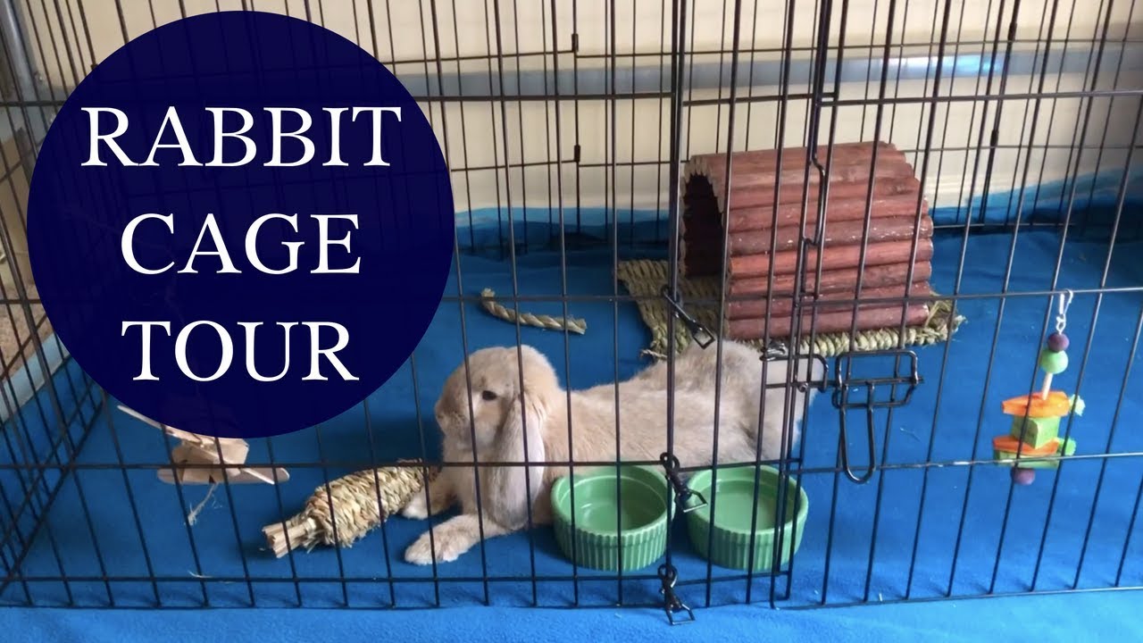 Rabbit Cage Tour