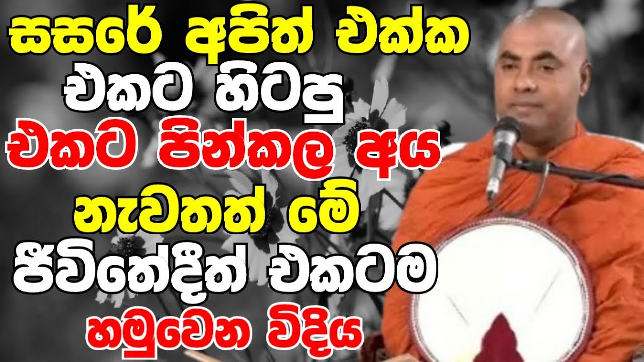 සසරේ අපිත් එක්ක එකට හිටපු එකට පින්කල අය නැවතත් හමුවෙන හැටි |Ven Koralayagama Saranathissa Thero 2024