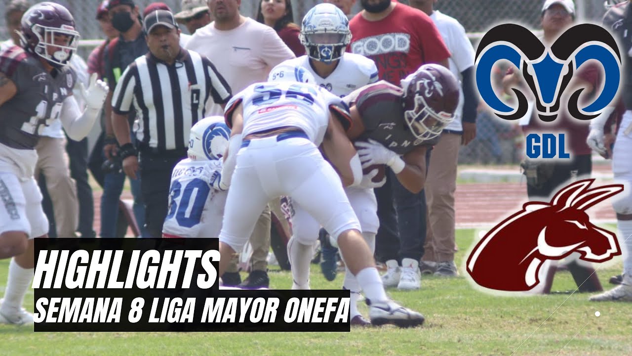 HIGHLIGHTS | Burros Blancos IPN vs Borregos Guadalajara | Semana 8 | 14 Grandes | Liga Mayor ONEFA