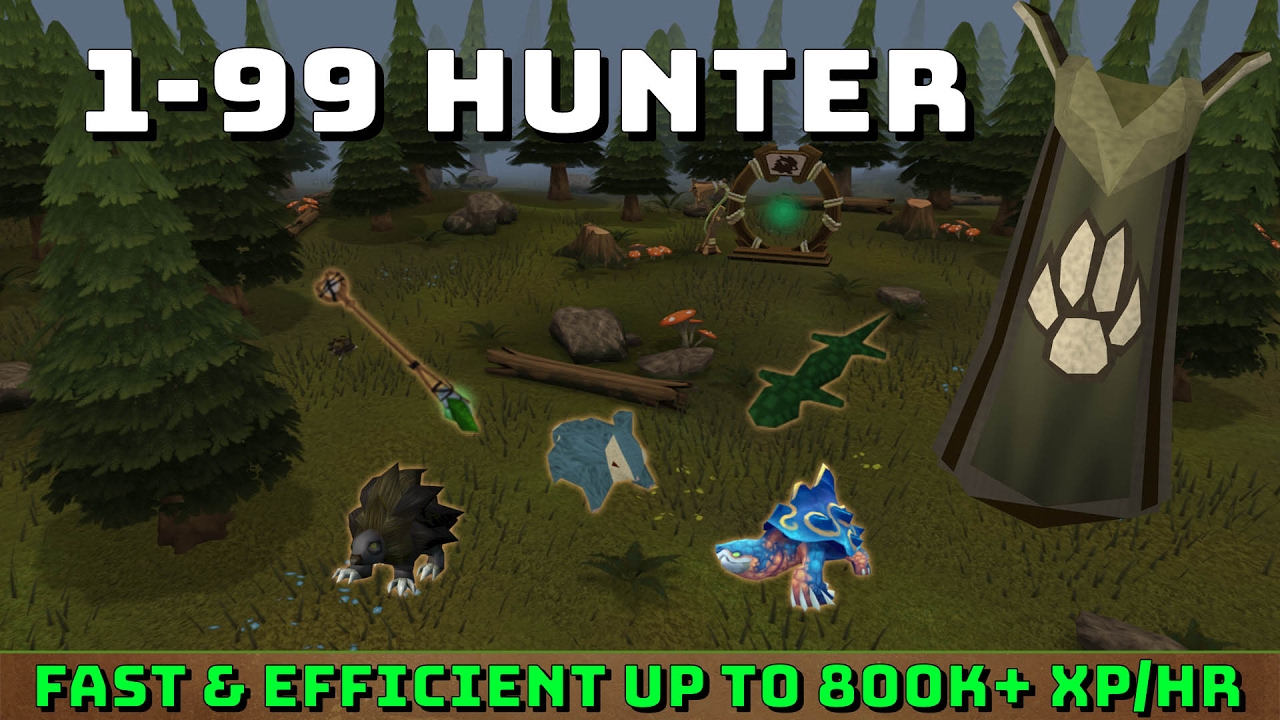 1-99 Hunter Guide! [Runescape 3] Up to 800k+ xp/hr!