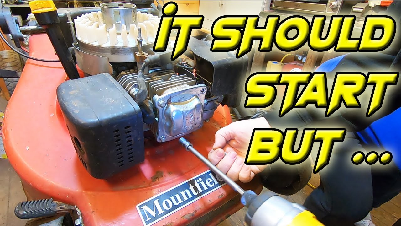 Mountfield Lawnmower Won't Start And A Leaf Blower Let's Check Them Out