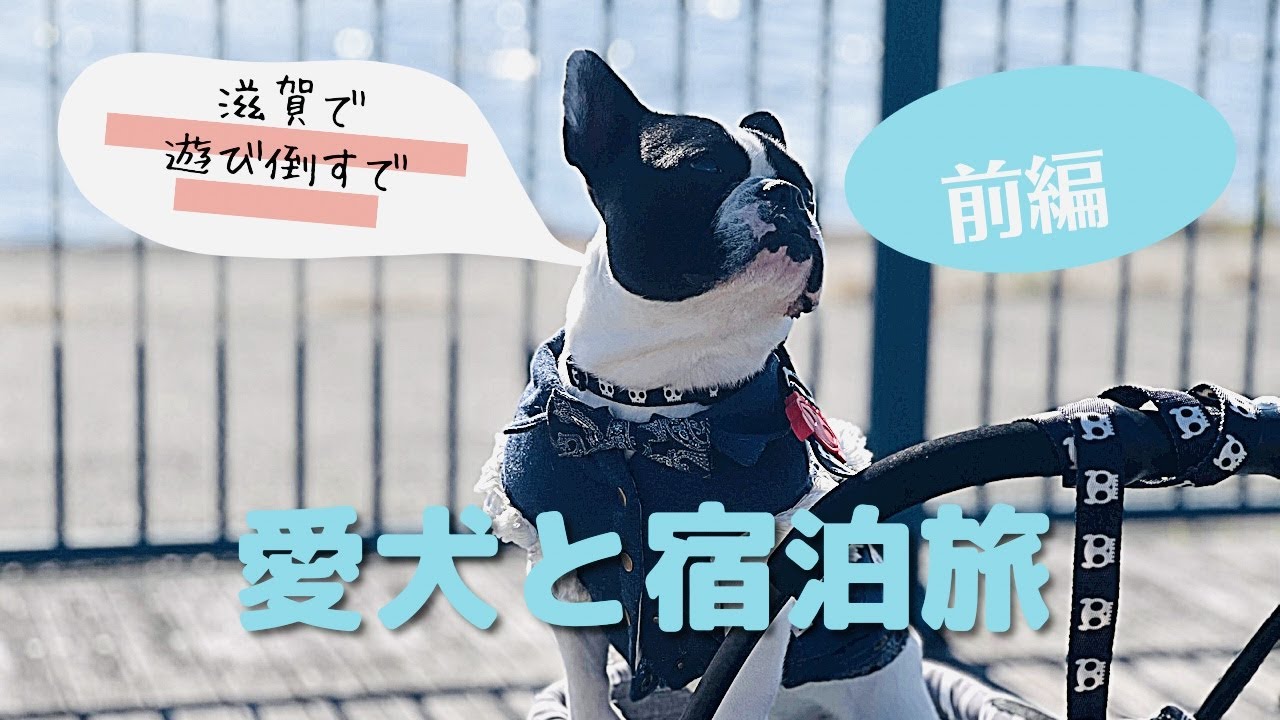 やっと行けたよ！！これが犬ファーストのお宿♡フレンチブルドッグと行く滋賀の旅　前編