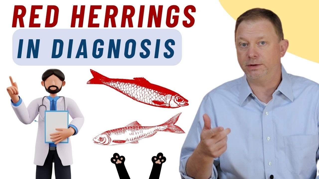 How Doctors ACTUALLY Diagnose Illnesses