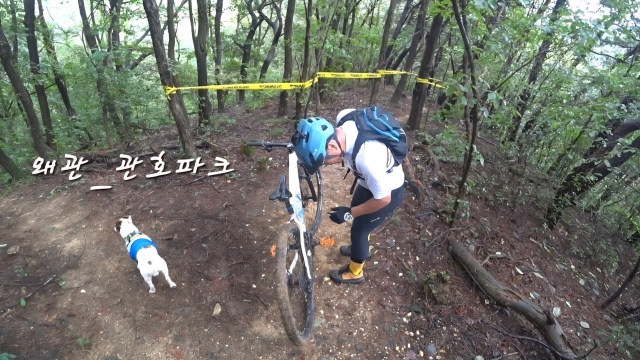[칠곡군자전거연맹]@왜관_관호파크~12MT!! 