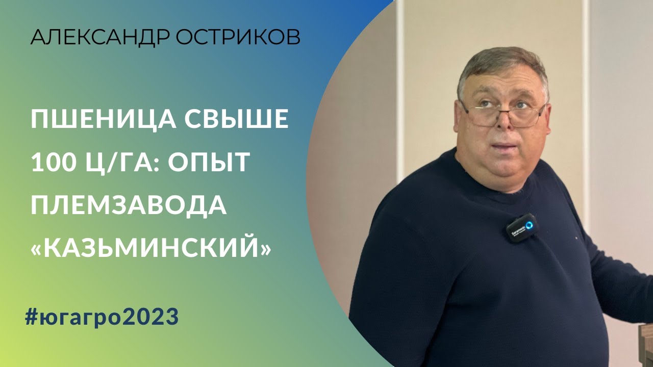 Пшеница свыше 100 ц/га: опыт СПК племзавода «Казьминский» (Ставропольский край)
