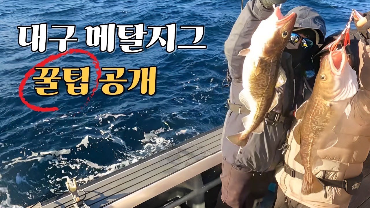 살랑살랑~ 흔들면~ 덥썩! 물어줍니다. #대구지깅 #대구라바 #4K