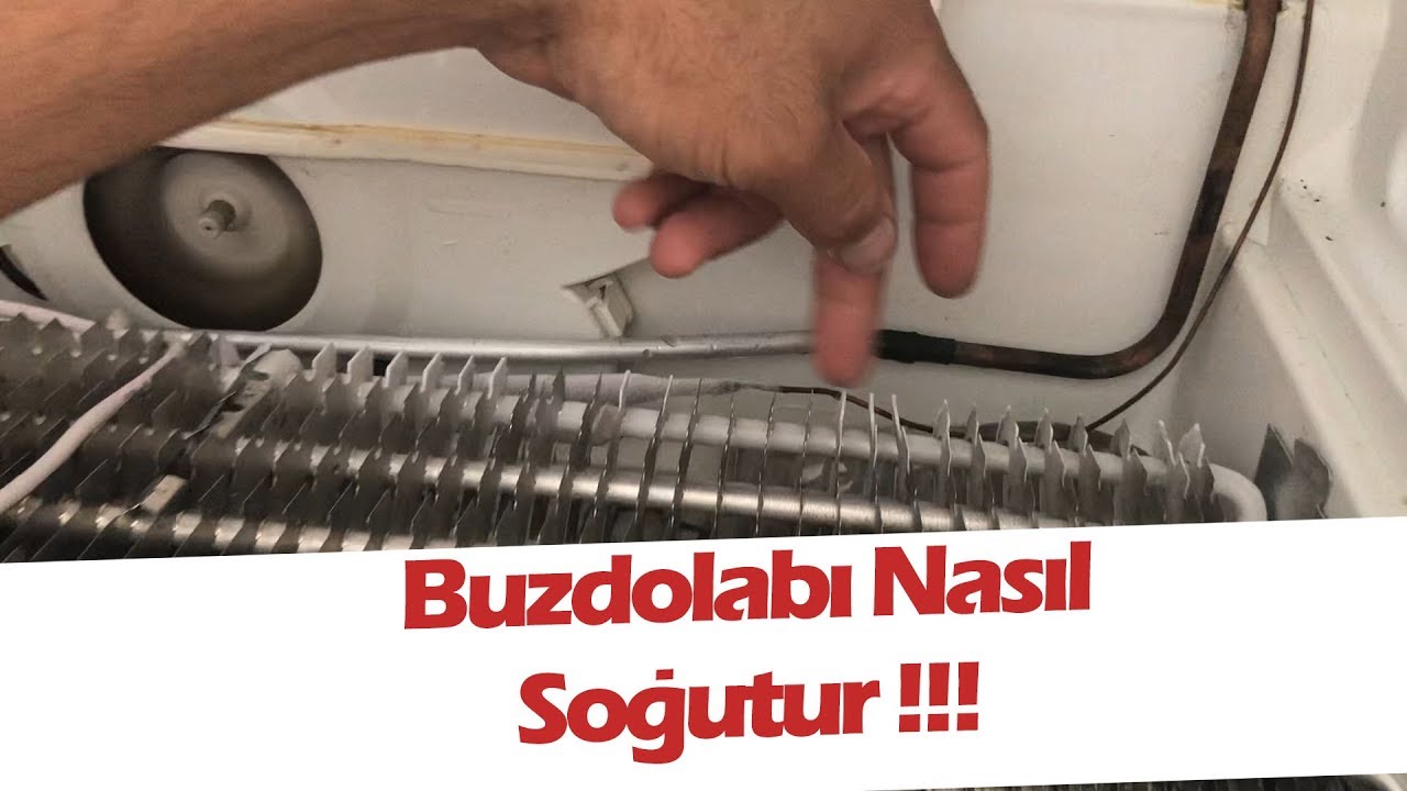 Bosch No Frost Buzdolabı Nasıl Soğutur ve Nasıl Çalışır! Buzdolabı Neden Soğutmaz!