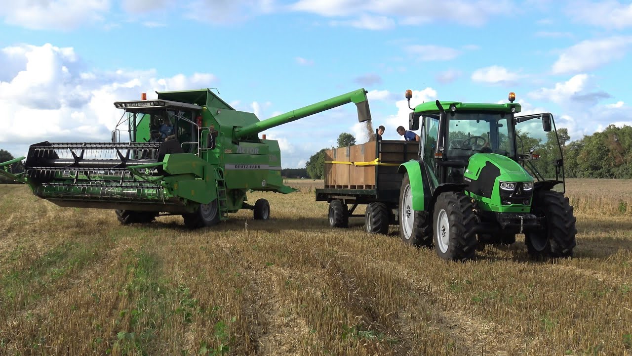 Tarwe oogst met Deutz-Fahr Actor 5520H en Deutz Fahr 5100C (2016)