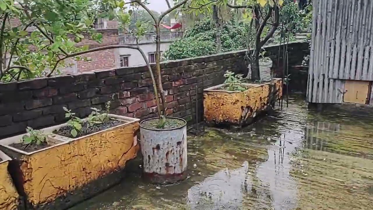 Chader bagan...my dream.. 2025