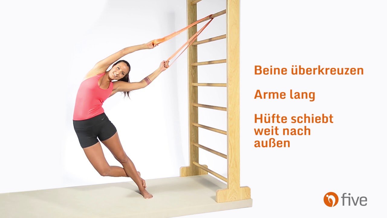 five R&uuml;cken- und Gelenktraining: Multi (Sprossenwand)