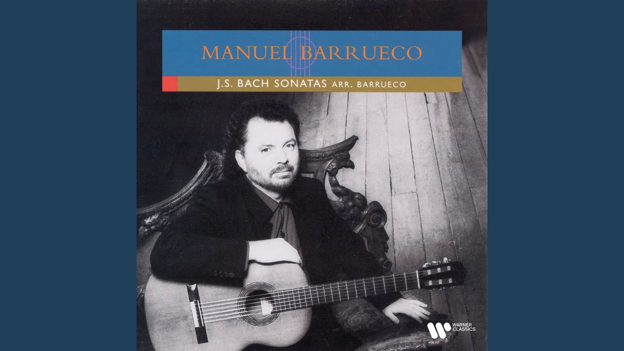 Sonata for Solo Violin No. 2 in A Minor, BWV 1003: III. Andante (Arr. Barrueco for Guitar)