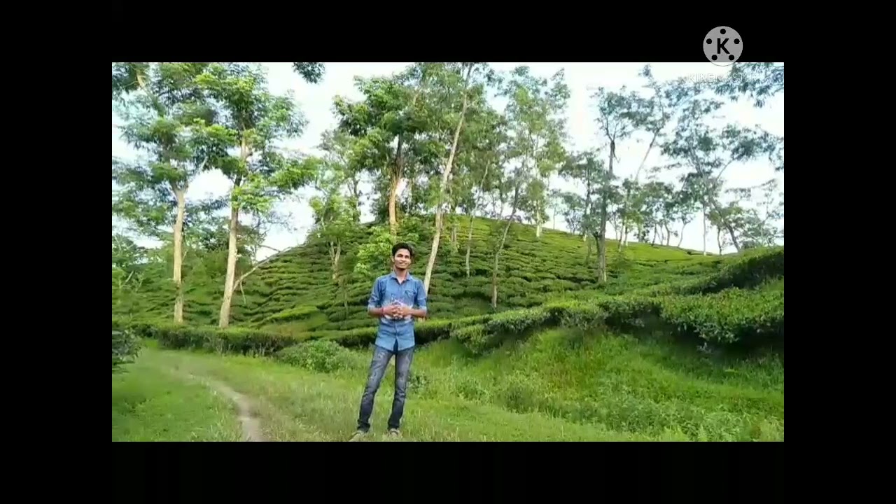 A sudden Trip to Ranibari Tea garden.