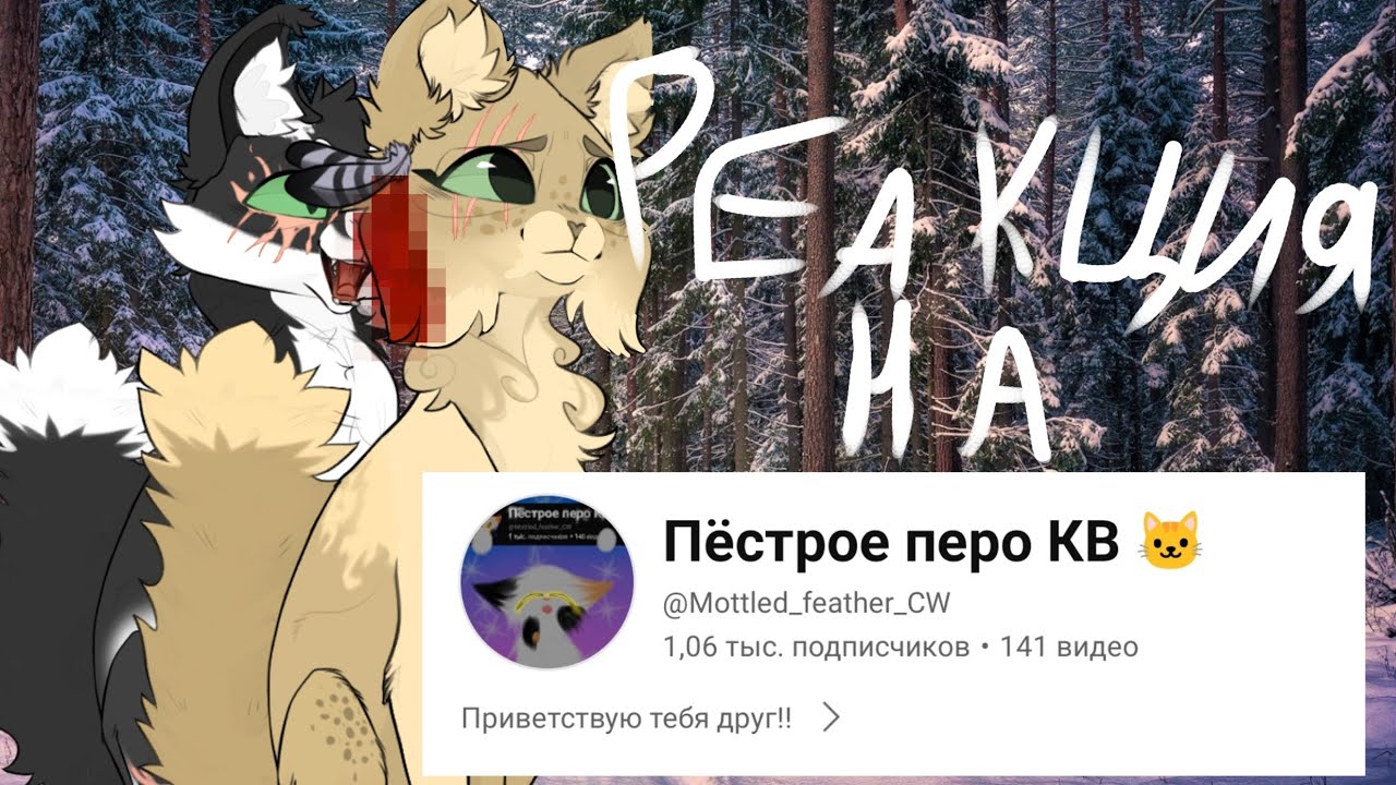 Реакция на @Пёстрое_перо_КВ_пестри |•| Лучше? |•| Целитель с сиреневыми Глазами? |•|