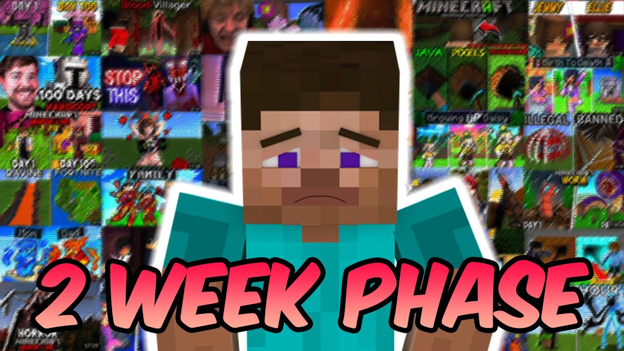 Why your 2 Week Minecraft phase Sucks