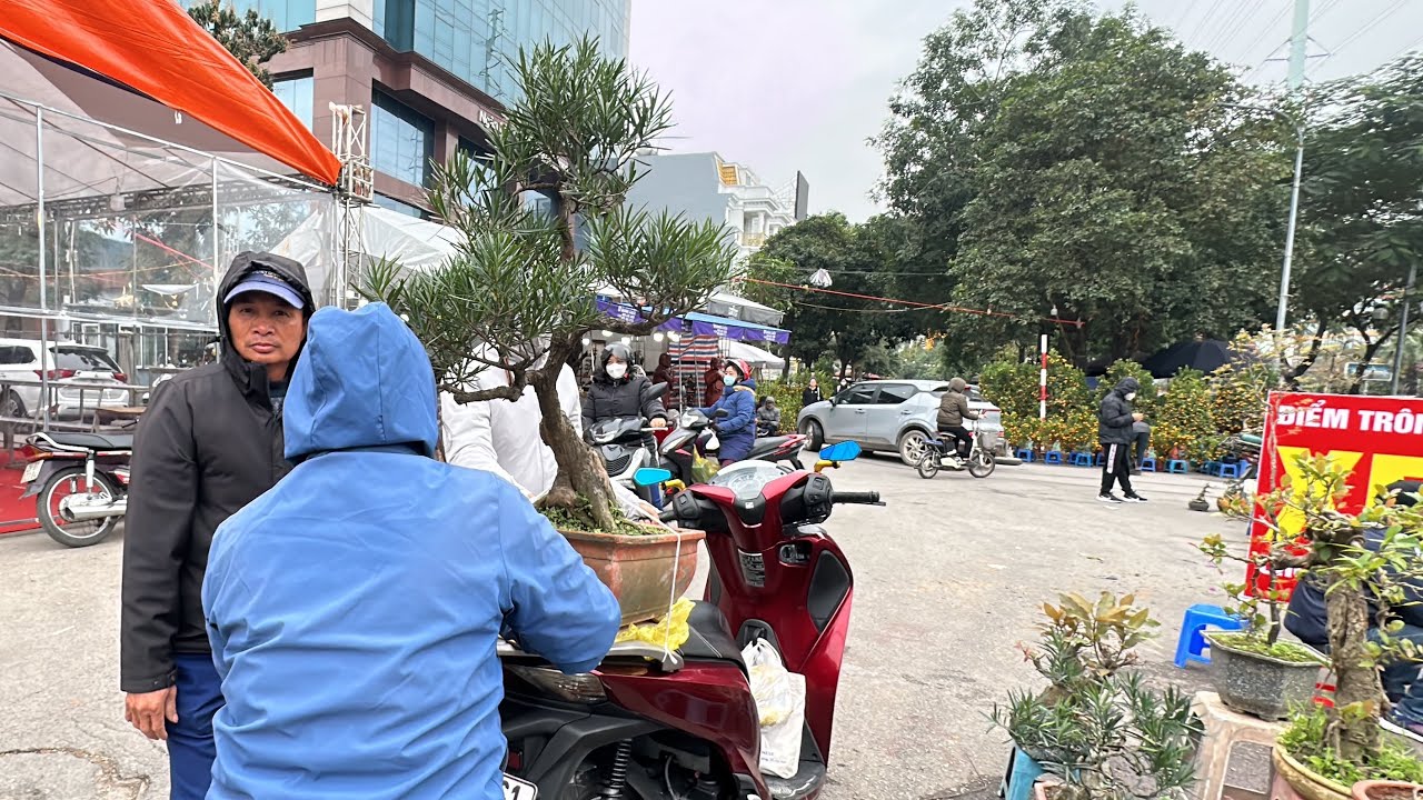 CHỐT RỒI - CHỊ LIÊN MỞ HÀNG PHIÊN CUỐI NĂM, CÂY TÙNG ĐEN ĐẸP QUÁ