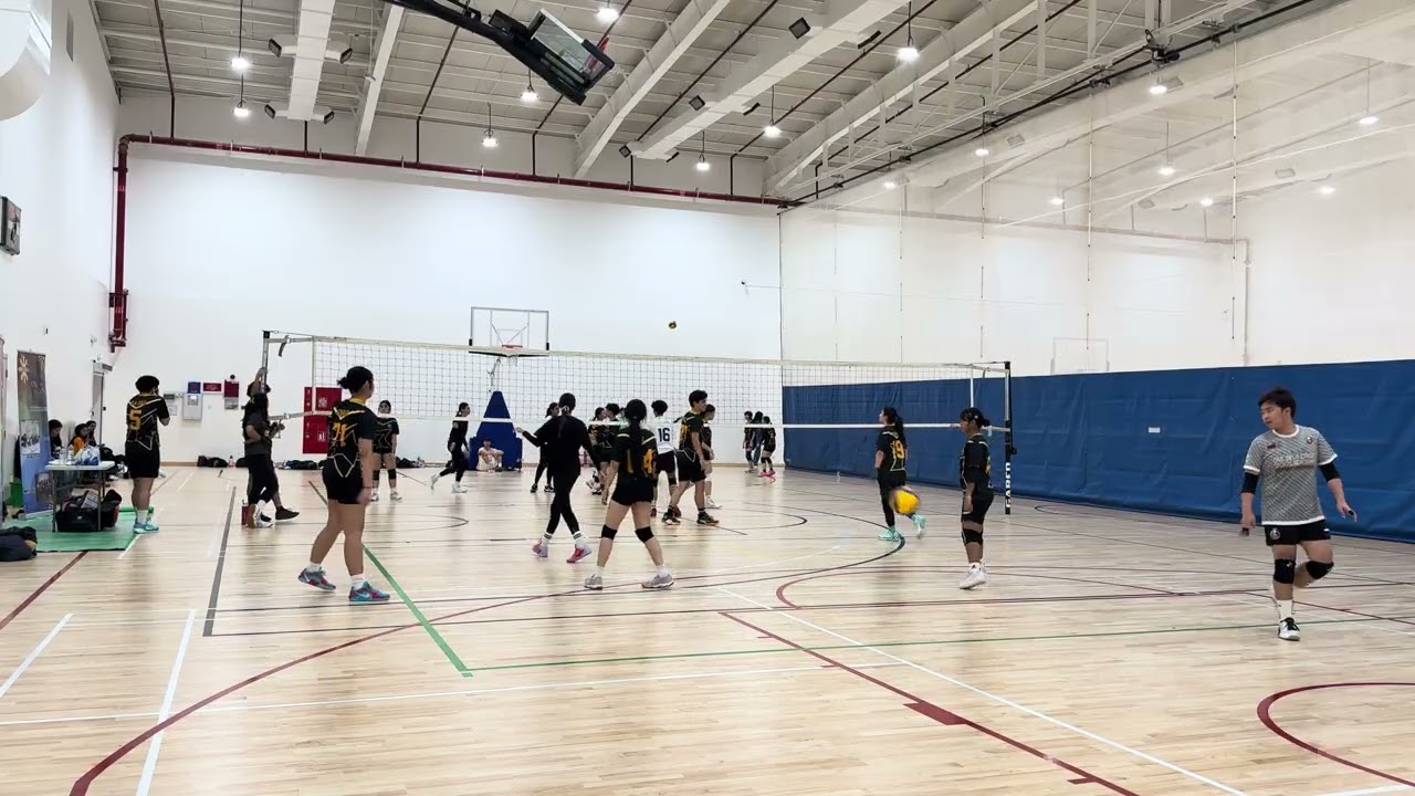 ODC Seasonal League 17: layla VS stephen