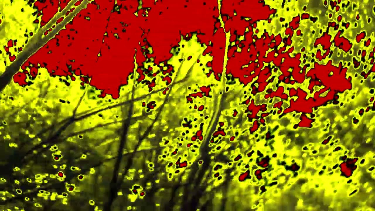 Orienteering In Avon Ri In Loudness 2.0 (First Video Of 2026)