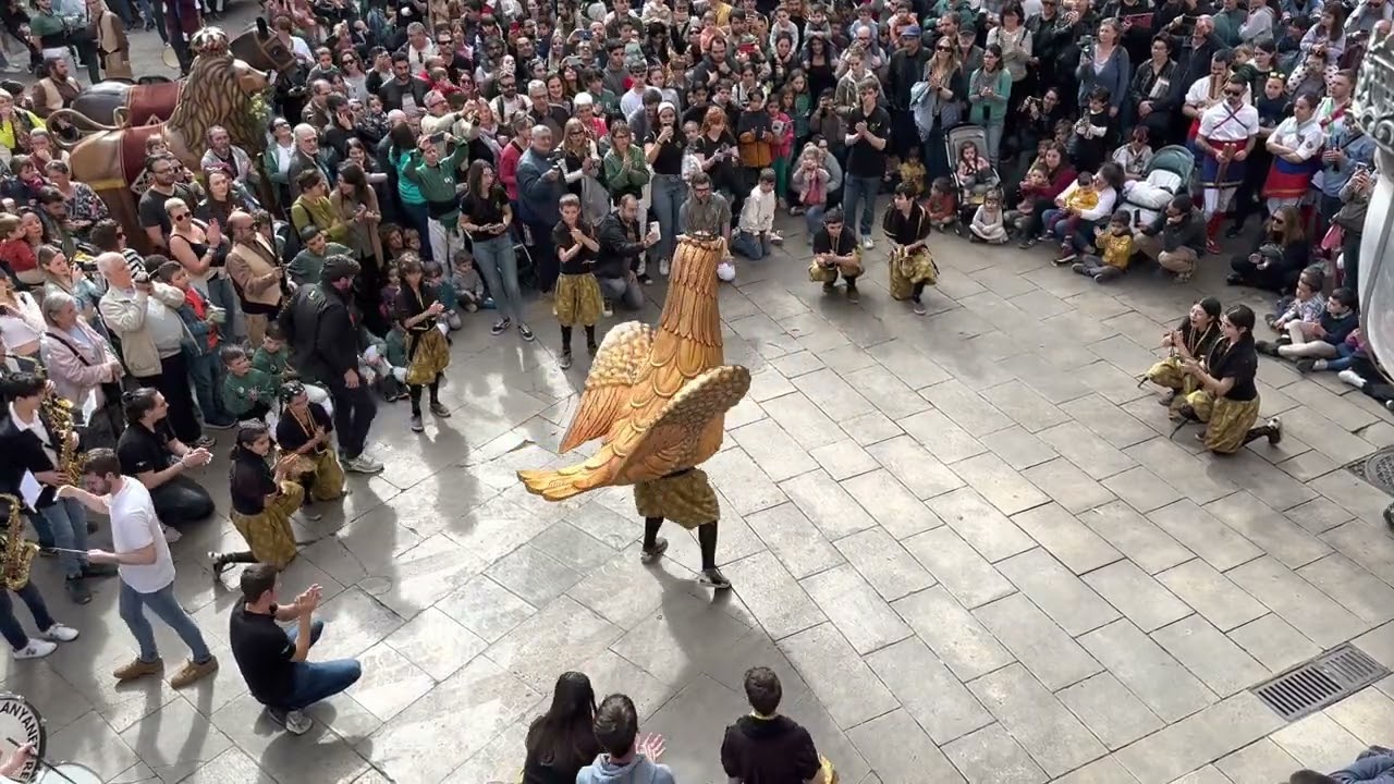 Marxa de l'Àliga petita de Reus | Festes de Sant Josep Oriol de Barcelona 2023 #Gegants