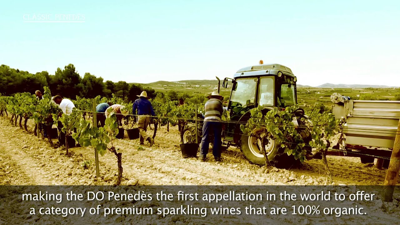 CL&Agrave;SSIC PENEDES subt ENG