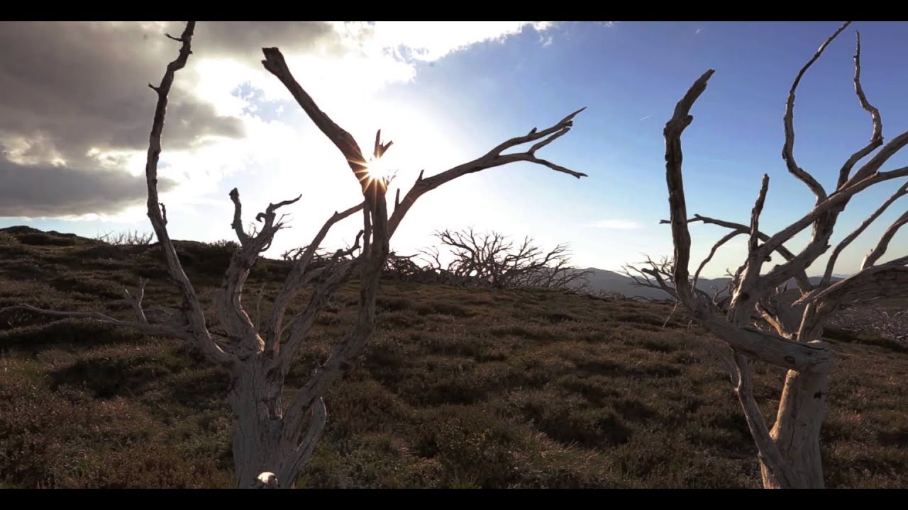 Must-Ride: Mount Beauty and Falls Creek, Victoria