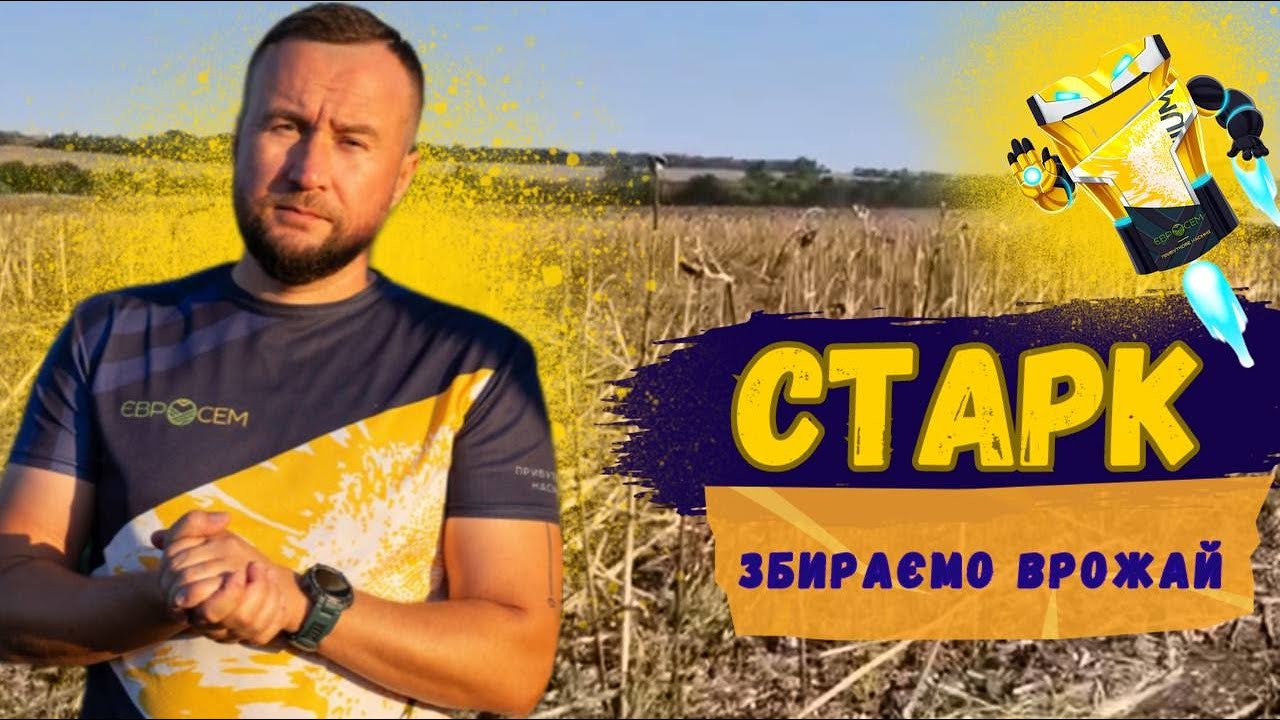 Євросем на збиранні соняшника Старк в ФГ 