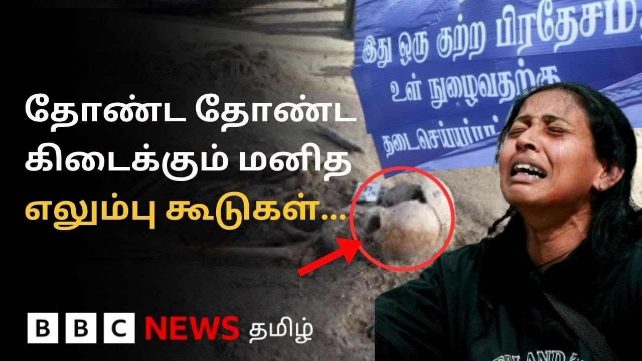 பிபிசி தமிழ் தொலைக்காட்சி செய்தியறிக்கை | BBC Tamil TV News 04/07/2025