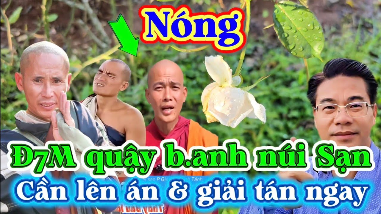 Nóng! Đ7M quậy b.a.nh núi Sạn, cần lên án & giải tán ngay.