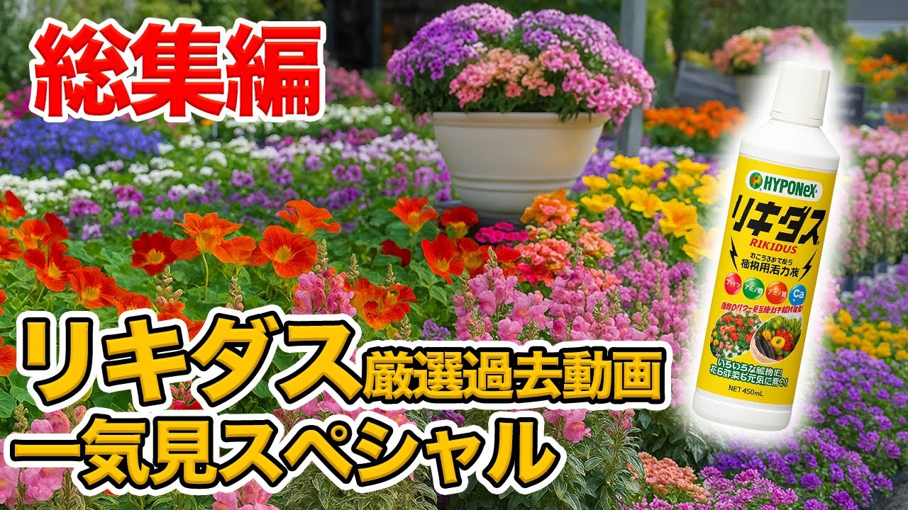 【保存版】リキダスの効果・使い方・開発秘話まで完全網羅！厳選動画まとめて一気見【園芸の基本】【園芸塾】【ハイポネックス】