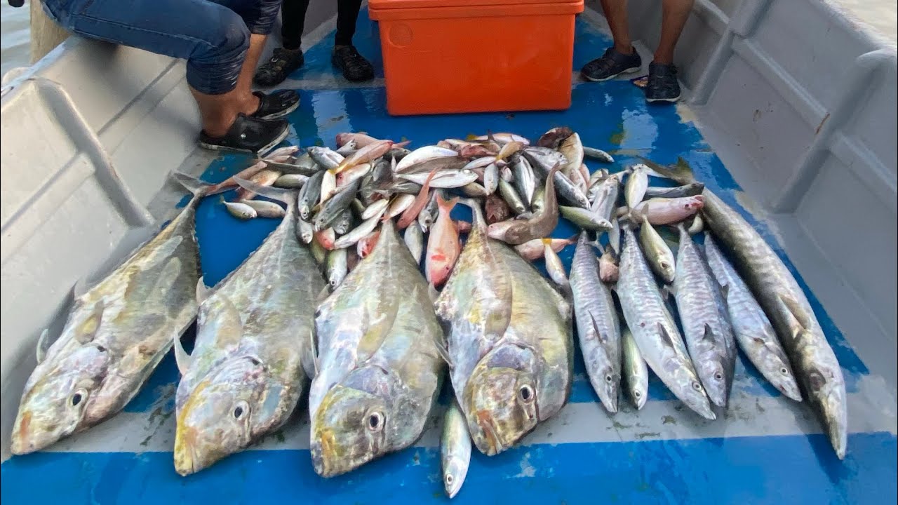 Jigging tenggiri mersing tekong alam rahman