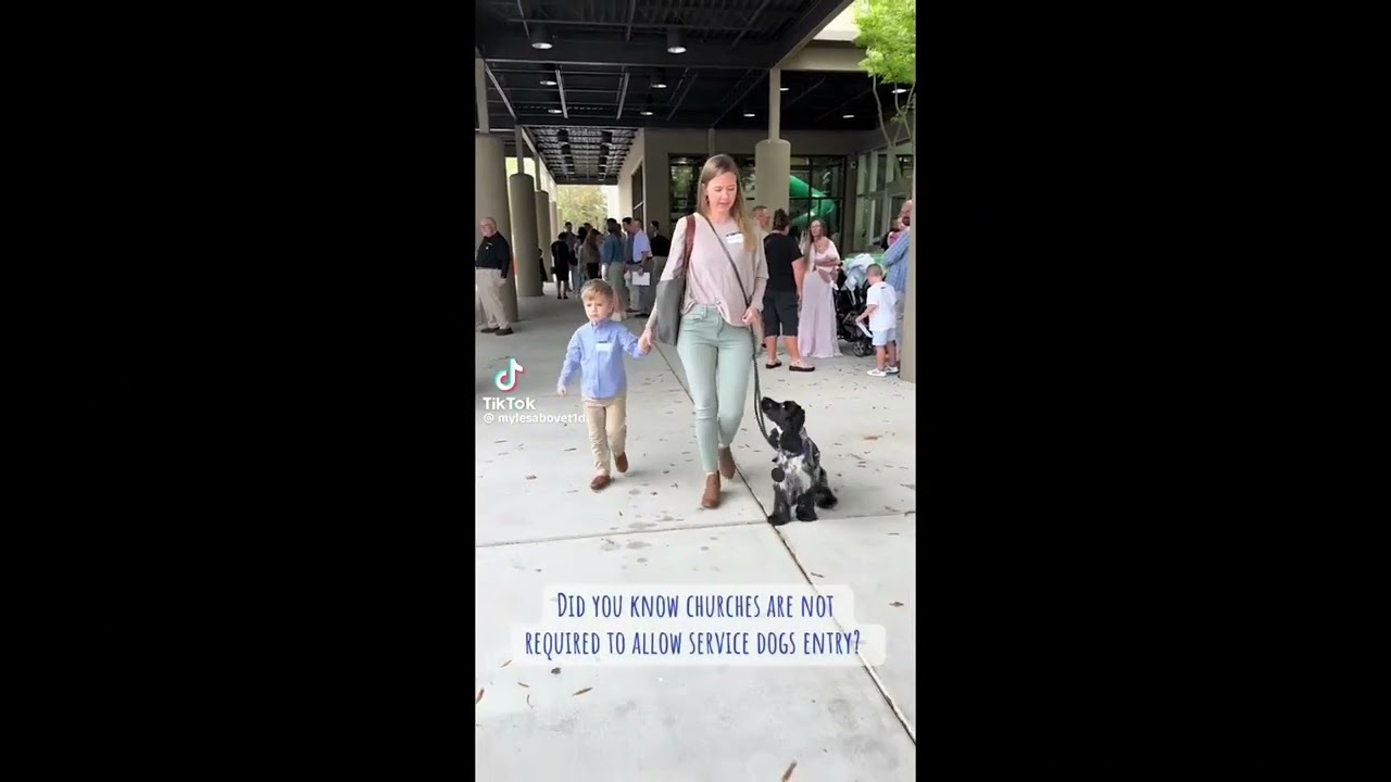 ☆☔️SERVICE DOG TIKTOK COMPILATION☔️☆PT.1?