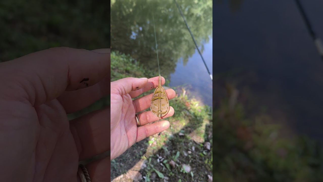 Montatura a Feeder per cefali🎣#lenza #cefalo #pesca #pescare #fishing #fishingvideo #fishon #fish
