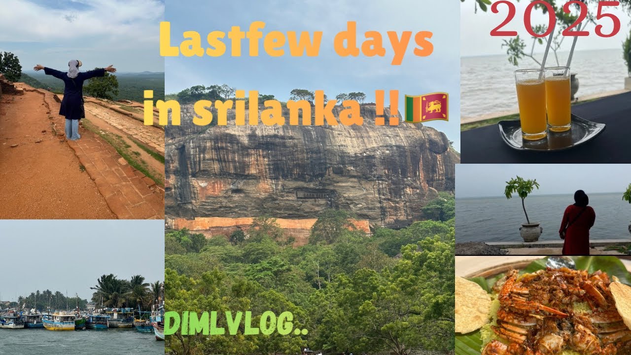 🏍️Last few days in srilankan/sigiriya/blue 🌊lagoon/family gathering/fypviraltrnding#inspirewithnis#