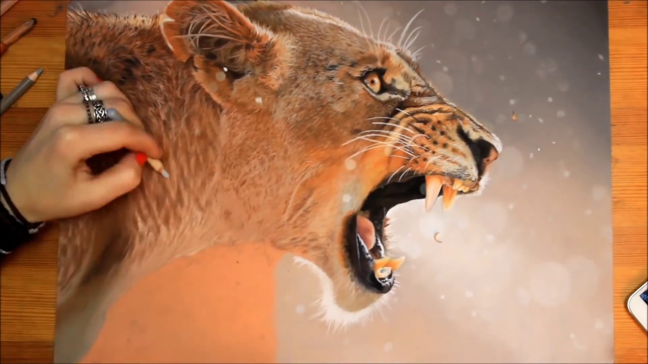 Female Lion Speeddrawing | Svea T. Art