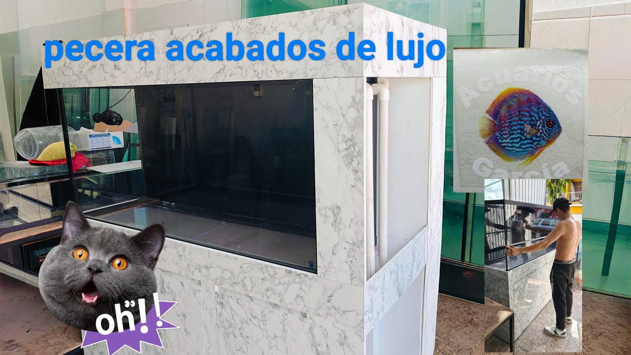 Pecera con acabados de lujo