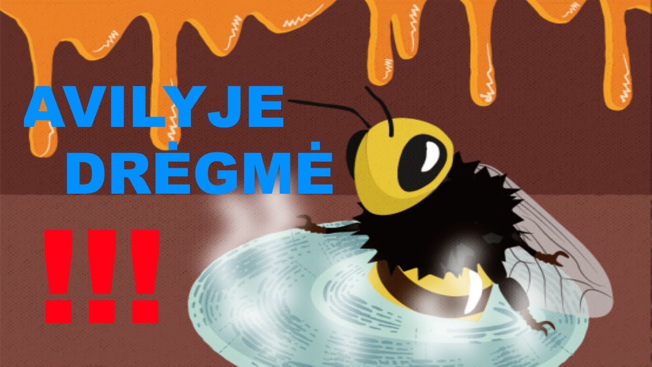 Ką bitės veikia žiemą? Nemiega :) Aviliuose drėgmė!