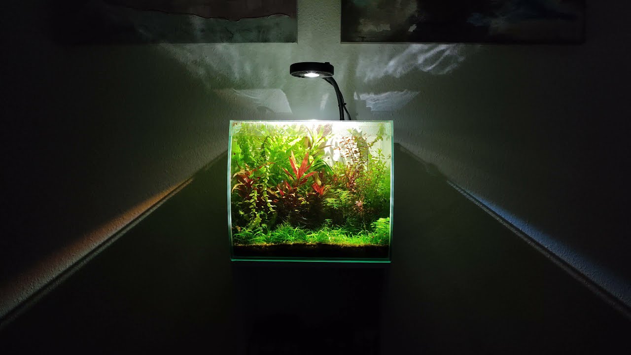 Fluval Flex 57 Liter + Kessil A80