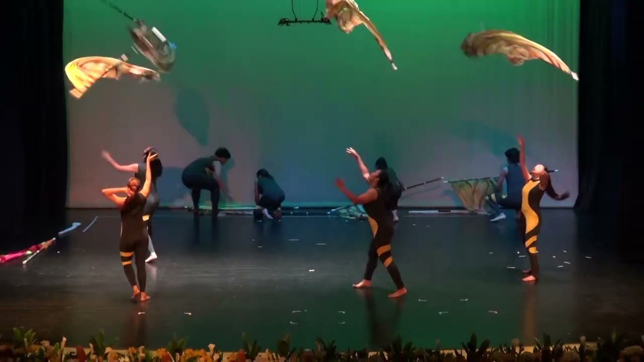 FEU DBC Color Guards: Moonlight Sonata