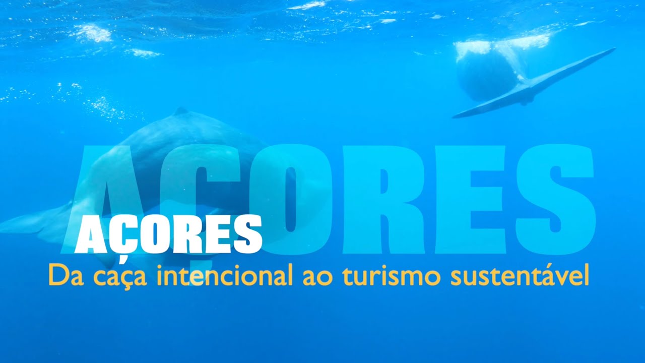 Açores: Da caça intencional ao turismo sustentável