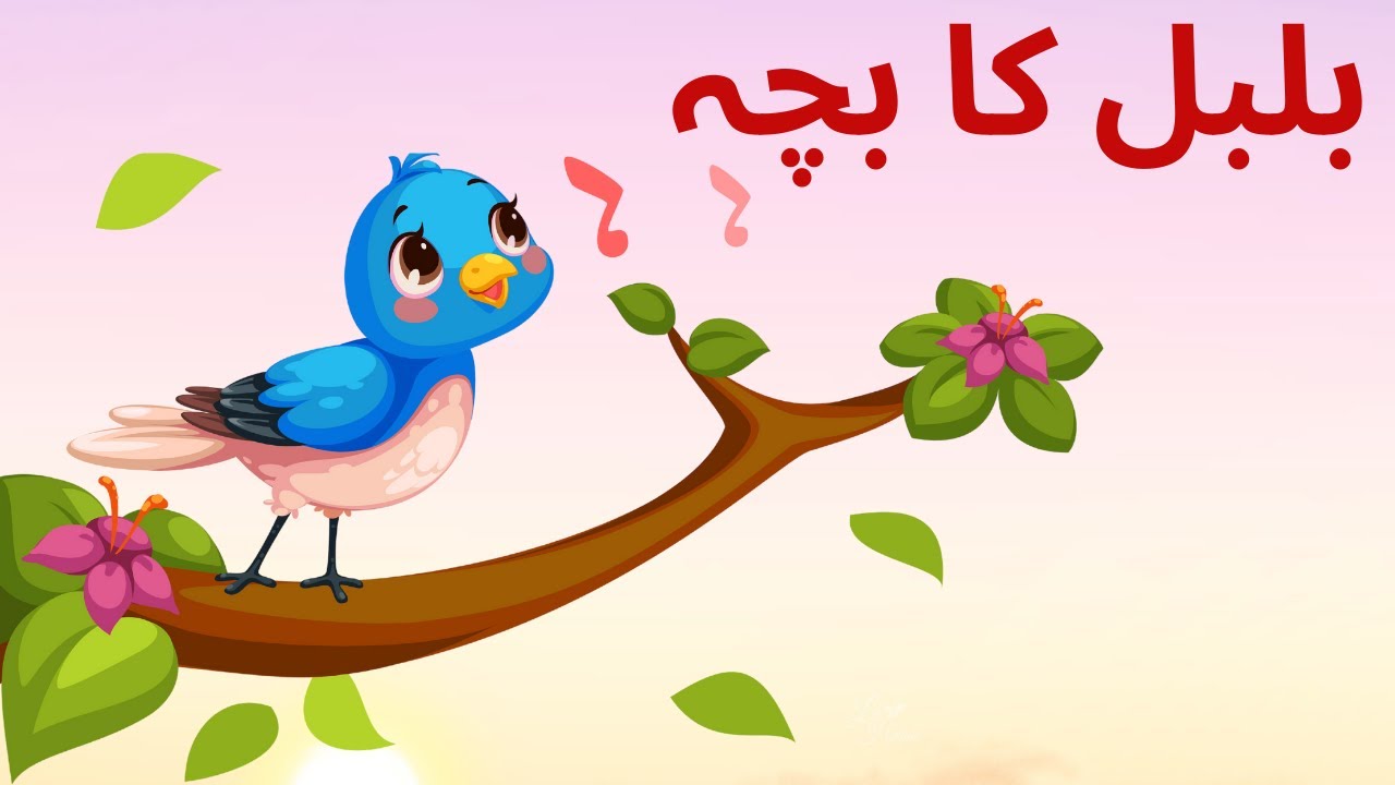 Bulbul ka Bacha | بلبل کا بچہ | Urdu Nursery Rhyme Collection for Babies
