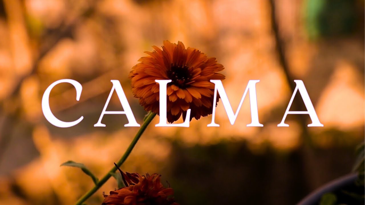 CALMA 🌅 Música Relajante para Aliviar el Estrés y Calmar la Ansiedad