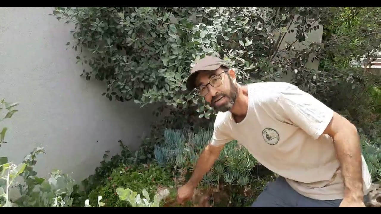 סיור בגינה אקולוגית בת חמש