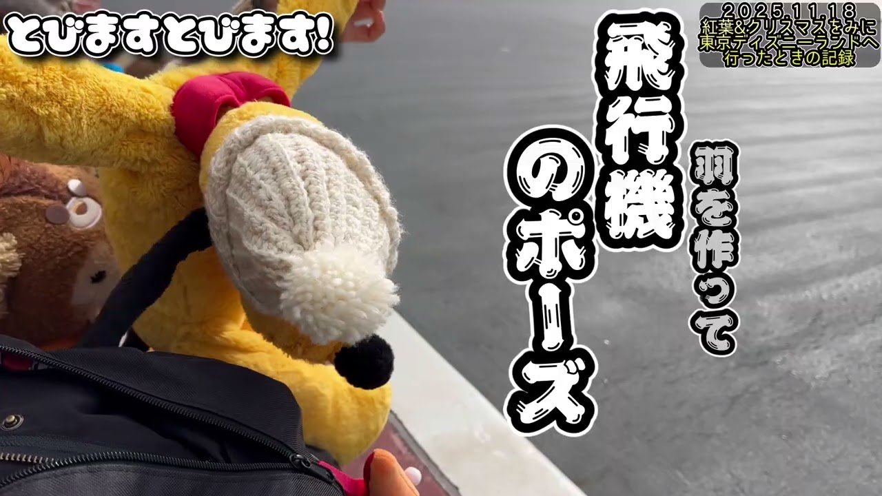TDLクリスマス2025 装飾の記録と2025.11.18 ミキミニスクリーンデビュー日 東京ディズニーランドのクリスマスを堪能した記録動画