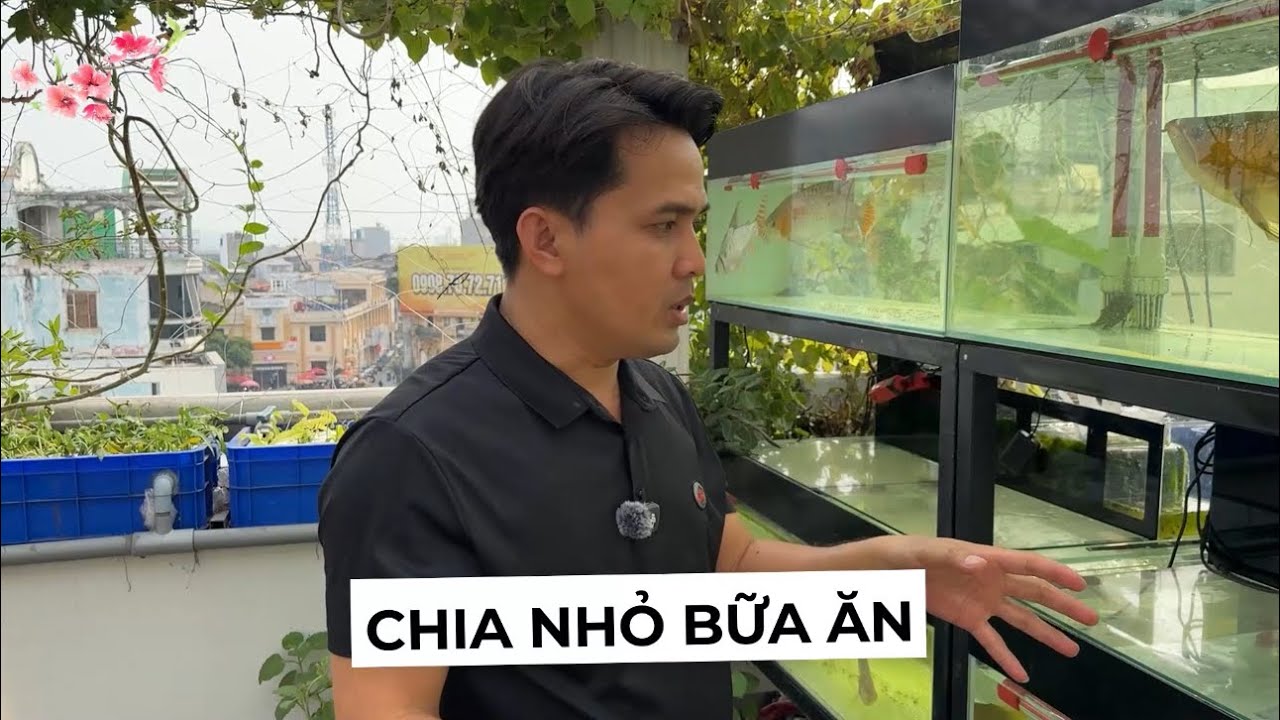 Các kiểu THÚC SAIZ C.Á RỒNG, cho lên SUMO ko quan tâm fom dáng hay thúc lớn nhưng vẫn giữ đuôi càng