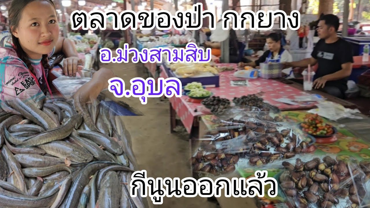 #ตลาดของป่า