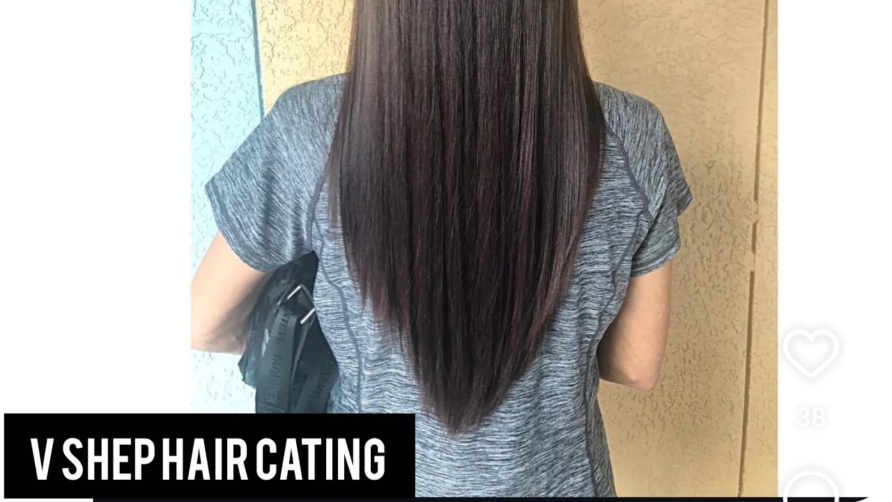 V shep hair cat#parlour #customer service#cgvlog #👌👌👌