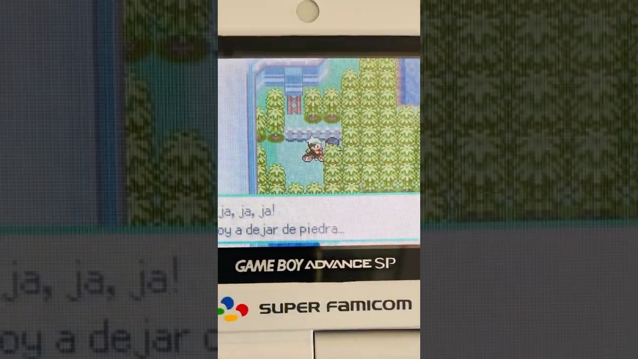 It took me 17 years to find this trainer in Pok&eacute;mon Emerald